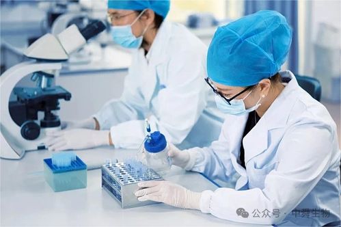 中舜生物 一站式大健康食品OEM，信息技術(shù)咨詢服務(wù)賦能品牌快速成長